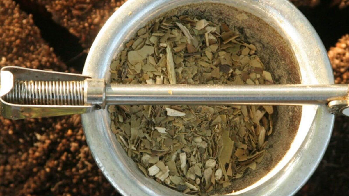 El Gobierno estableció qué porcentaje de palo y polvo debe tener la yerba mate.