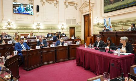 La reforma fue aprobada por unanimidad en el Senado y en la Cámara de Diputados tuvo 33 votos a favor y dos en contra. La reforma fue aprobada por unanimidad en el Senado y en la Cámara de Diputados tuvo 33 votos a favor y dos en contra.