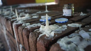 San Cristóbal: el submundo 