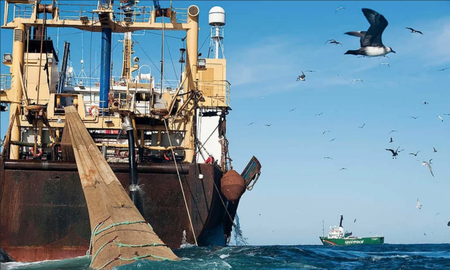 Greenpeace manifestó su preocupación por el descontrol pesquero y la exploración sísmica Crédito: Greenpeace Greenpeace manifestó su preocupación por el descontrol pesquero y la exploración sísmica Crédito: Greenpeace