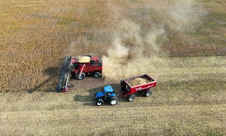 La agroindustria es uno de los principales generadores de recursos que terminan en manos del Estado nacional y no se distribuyen entre las provincias. La agroindustria es uno de los principales generadores de recursos que terminan en manos del Estado nacional y no se distribuyen entre las provincias.