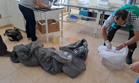 La mercadería en mal estado se trasladó al relleno sanitario. La mercadería en mal estado se trasladó al relleno sanitario.