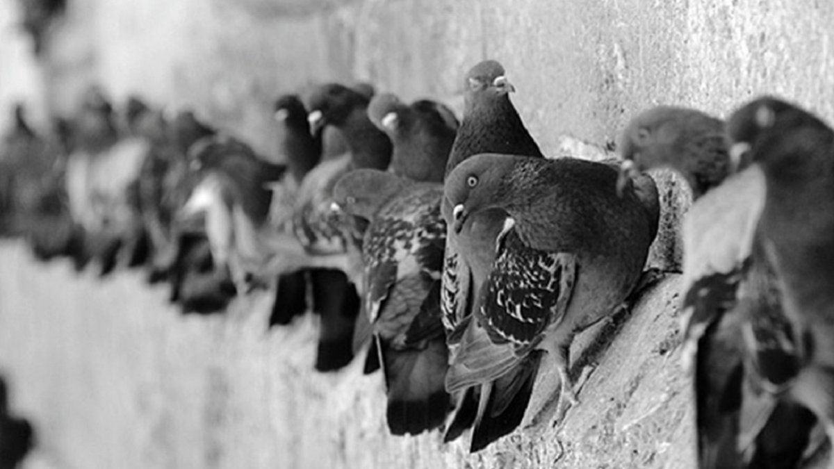 Regresó al departamento tras 5 meses y encontró una escena de terror