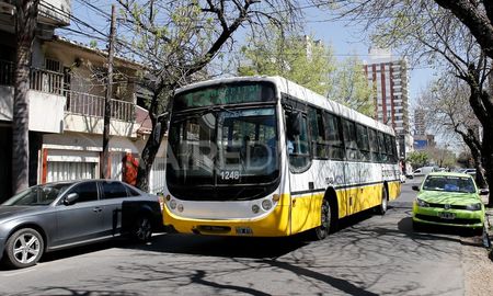 Los reclamos sindicales son un incremento salarial para el sector, que los choferes sean incluidos en el plan de vacunación contra el coronavirus y poner en orden los gastos del servicio con una mejor distribución de los subsidios. Los reclamos sindicales son un incremento salarial para el sector, que los choferes sean incluidos en el plan de vacunación contra el coronavirus y poner en orden los gastos del servicio con una mejor distribución de los subsidios.