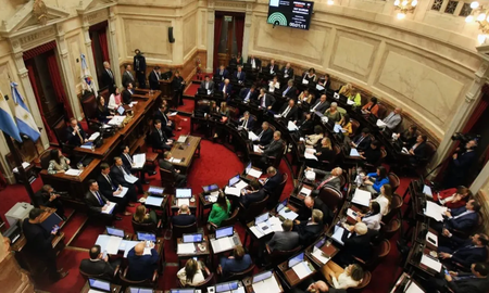 uno por uno, como voto cada senador la ley bases uno por uno, como voto cada senador la ley bases