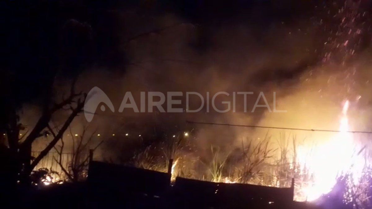 Un incendio detr&aacute;s del Cementerio Municipal se desat&oacute; este domingo.