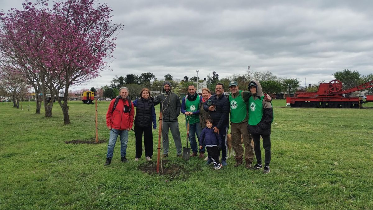 Con la plantación de lapachos rosados