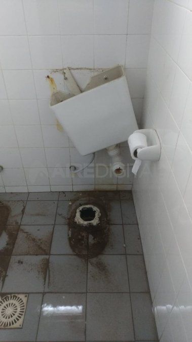 Les sustrajeron más de 100 metros de cables, reflectores, sanitarios, pelotas y redes.