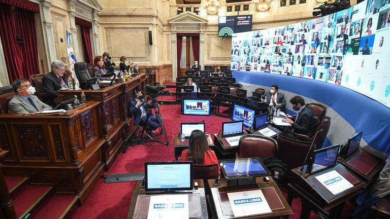 Sesión especial remota en el Honorable Senado de la Nación, en la que se trató el proyecto de ley del régimen de promoción de la economía del conocimiento