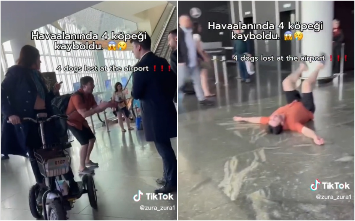 El hombre perdió a sus perros, lloró desconsoladamente y se volvió viral.