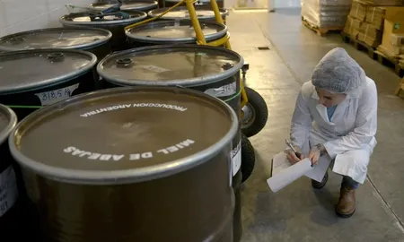 exportaciones de miel: argentina casi duplico ventas y marco un record historico exportaciones de miel: argentina casi duplico ventas y marco un record historico