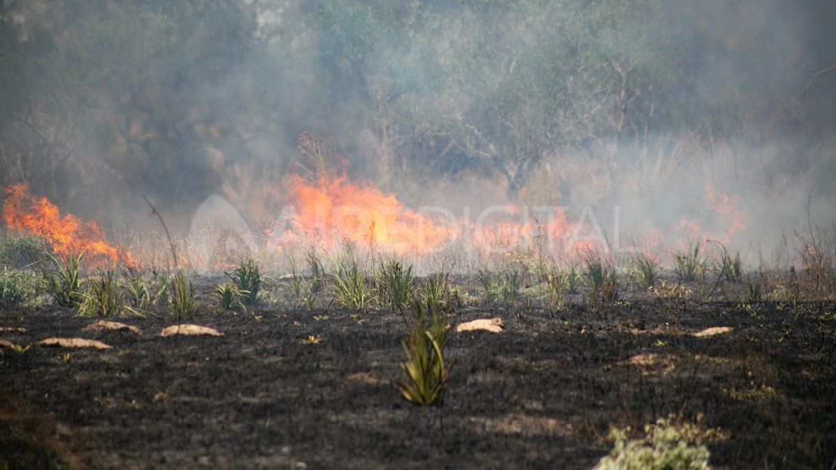 Las llamas se reavivaban por ayuda del viento.