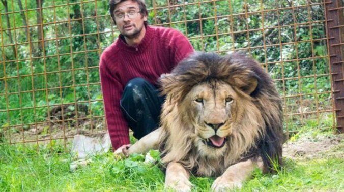 Crió a dos leones en su casa como mascotas durante años: murió devorado