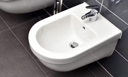 El bidet es un invento francés que llegó a Argentina a finales del siglo XIX. El bidet es un invento francés que llegó a Argentina a finales del siglo XIX.