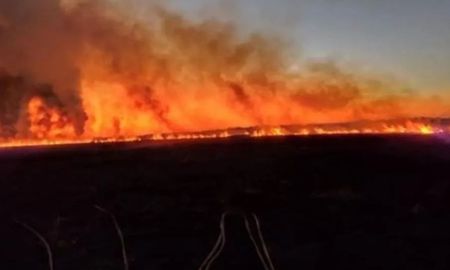 un incendio consumio mas de 400 hectareas de pastizales en baradero un incendio consumio mas de 400 hectareas de pastizales en baradero