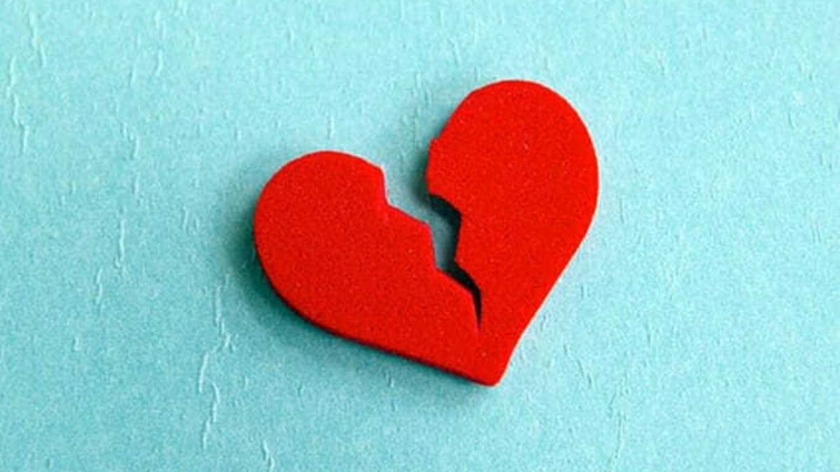 Si se repiten situaciones similares con otra persona, las neuronas pueden aprender a poner freno a los impulsos y permitir una evaluación más crítica y objetiva. Si se repiten situaciones similares con otra persona, las neuronas pueden aprender a poner freno a los impulsos y permitir una evaluación más crítica y objetiva.