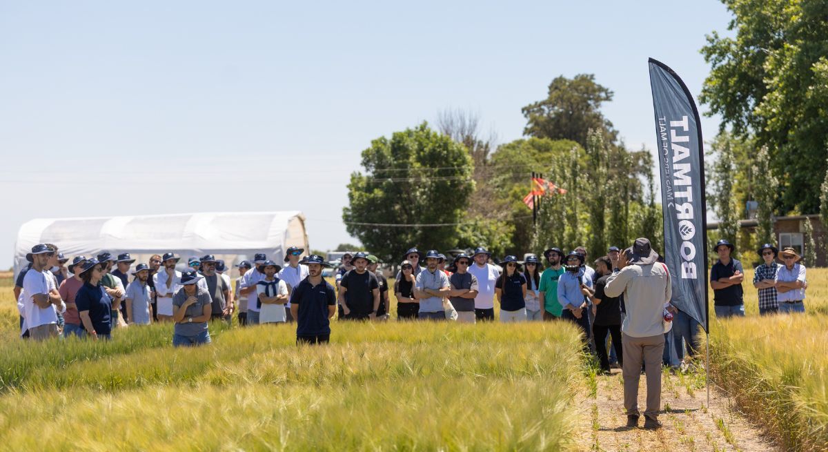 Con plantas en Rosario y Bahía Blanca, Boortmalt abastece la producción local que se utiliza en las cervezas de CCU en Salta, Santa Fe y Luján. Con plantas en Rosario y Bahía Blanca, Boortmalt abastece la producción local que se utiliza en las cervezas de CCU en Salta, Santa Fe y Luján.