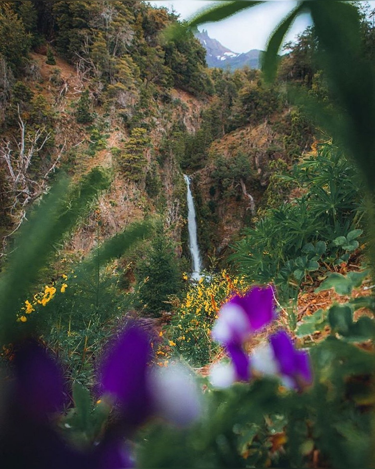 Cacada Coa C&oacute; de Villa Traful, Neuqu&eacute;n