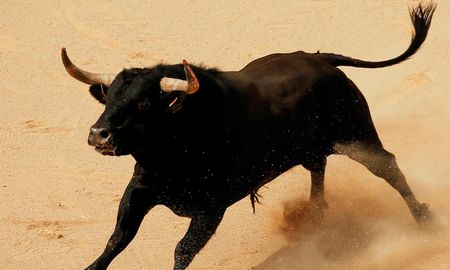 un toro salto a la tribuna, dejo 17 heridos y lo ejecutaron