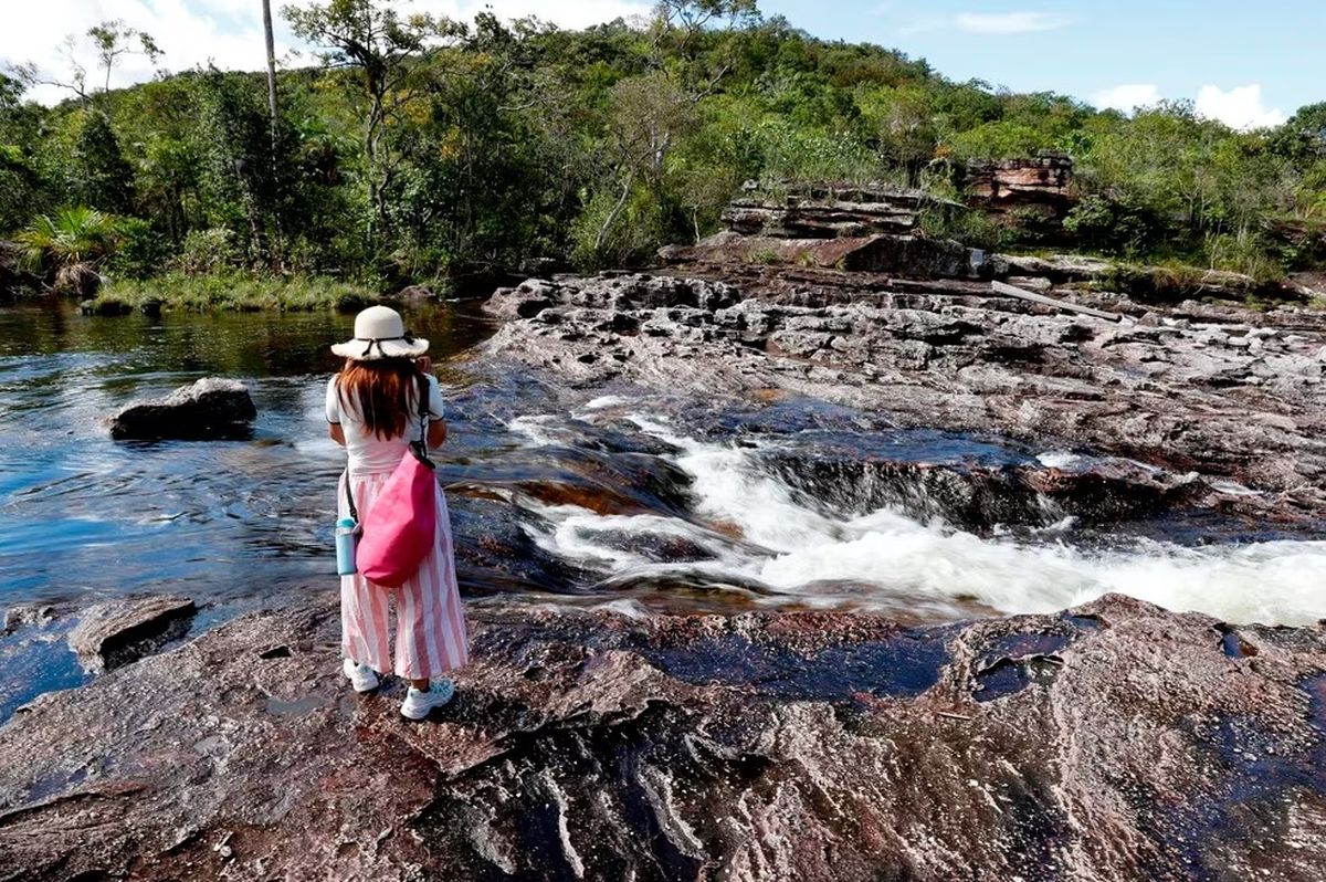 El Caño Cristales, el 'encanto' del río de colores, está amenazado por la deforestación en Colombia. El Caño Cristales, el 'encanto' del río de colores, está amenazado por la deforestación en Colombia.