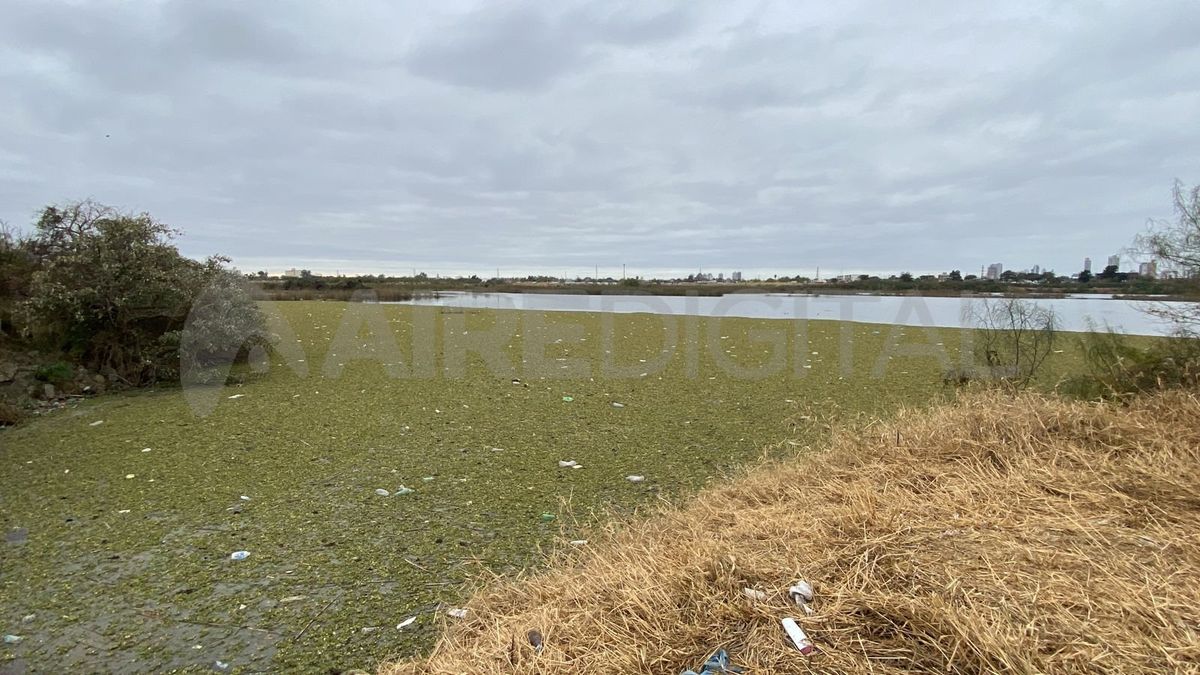 La zona del hallazgo en Circunvalación Oeste