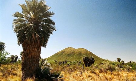 Escapada a Las Palmas, un pequeño pueblo serrano de Córdoba rodeado de paisajes únicos. Escapada a Las Palmas, un pequeño pueblo serrano de Córdoba rodeado de paisajes únicos.