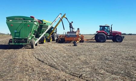 santa fe: comenzo la siembra de maiz de primera con un aumento del 25% en el area proyectada