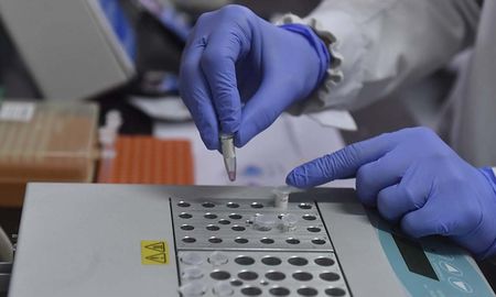 Las científicas argentinas están desarrollando un material híbrido polimérico-inorgánico, antiviral, desinfectante, que pueda ser aplicado a la ropa con el objetivo de prevenir la replicación del virus por medio de las prendas que usan médicos y personal de enfermería. Las científicas argentinas están desarrollando un material híbrido polimérico-inorgánico, antiviral, desinfectante, que pueda ser aplicado a la ropa con el objetivo de prevenir la replicación del virus por medio de las prendas que usan médicos y personal de enfermería.