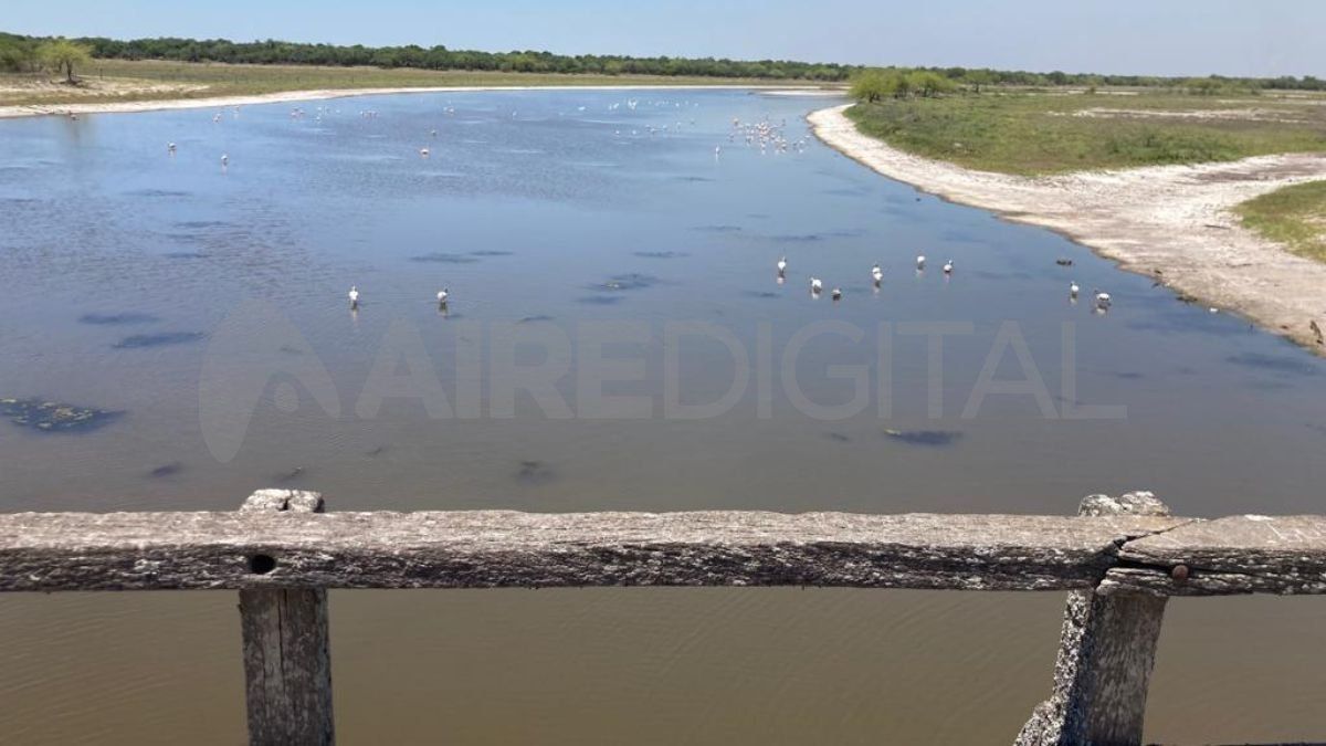 Fortín Olmos: en la zona se conservan