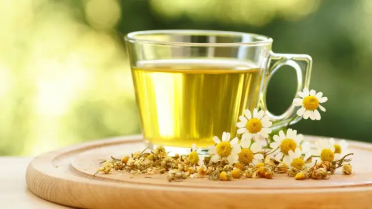 La planta de manzanilla cuenta con respaldo cient&iacute;fico por sus propiedades medicinales.