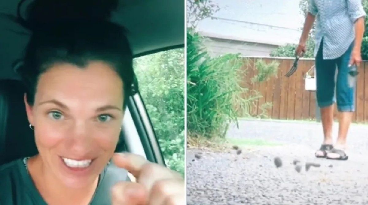 Atrapó a su vecina tirando la excremento de perro en su casa y le dio una verdadera lección como venganza