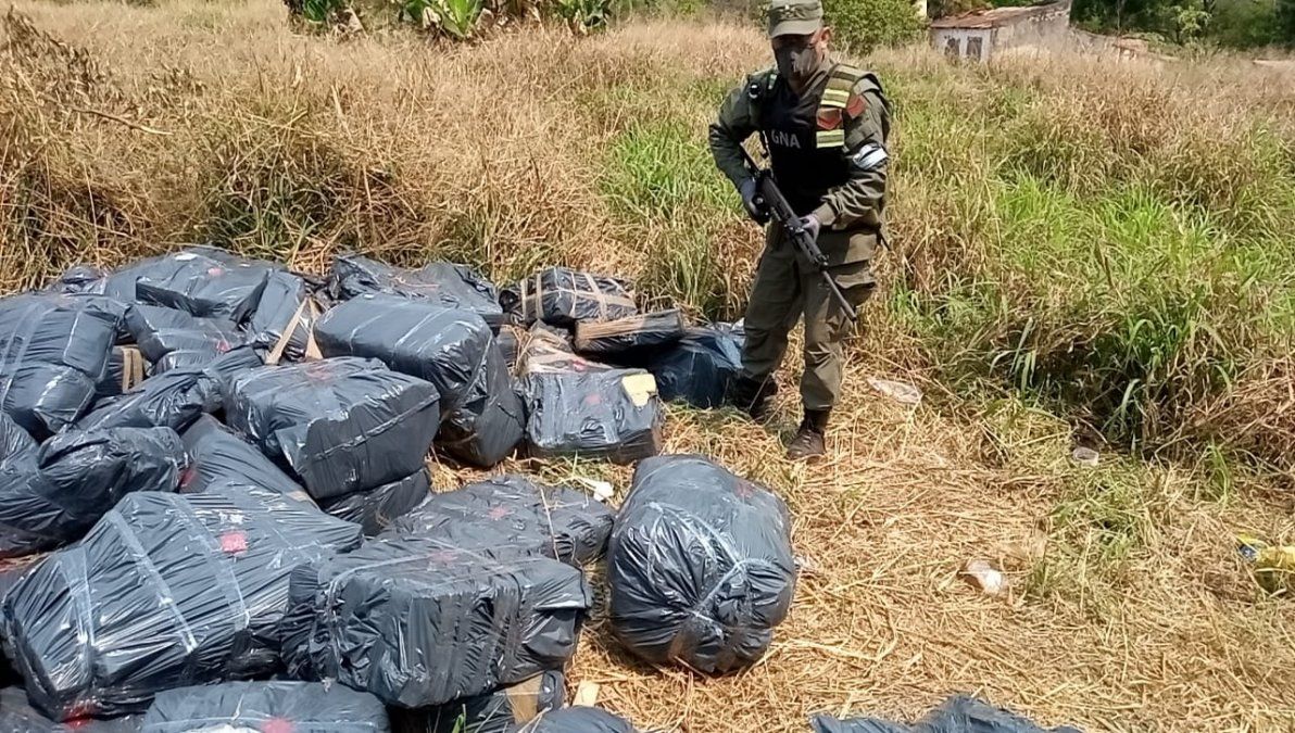 Casi tres toneladas de marihuana ocultas entre la vegetación del monte misionero fueron secuestradas por Gendarmería Nacional Argentina