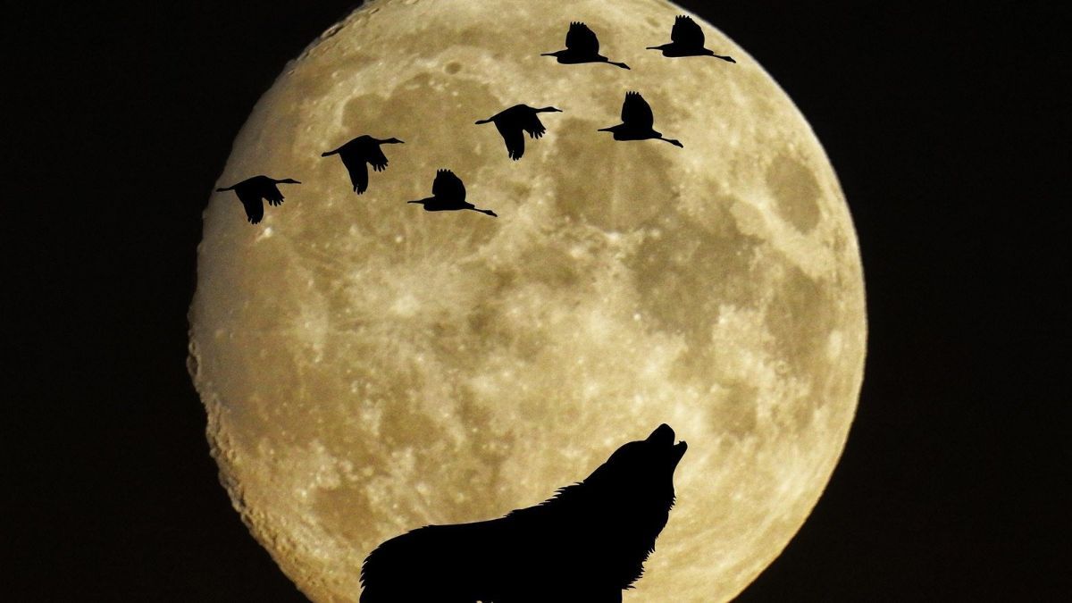 La Luna llena inaugura el 2025 con un espectáculo astronómico fascinante.