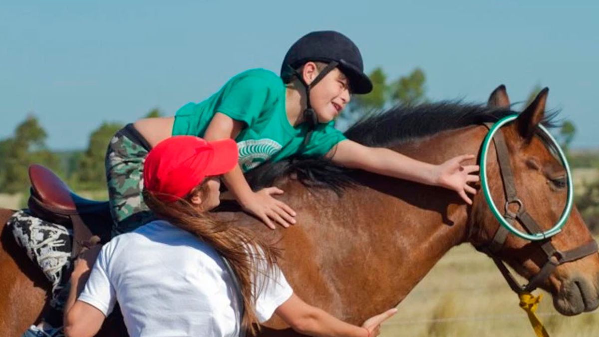 La iniciativa, presentada por el concejal y presidente del cuerpo legislativo, Leandro González, brinda marco regulatorio adecuado para la terapia asistida con caballos, una forma de abordaje interdisciplinario para la integración y el desarrollo de niños, niñas y personas con discapacidad.