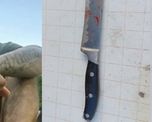 Tomás Adrián Núñez quedó detenido e imputado por homicidio agravado por el vínculo en contexto de violencia de género. Tomás Adrián Núñez quedó detenido e imputado por homicidio agravado por el vínculo en contexto de violencia de género.