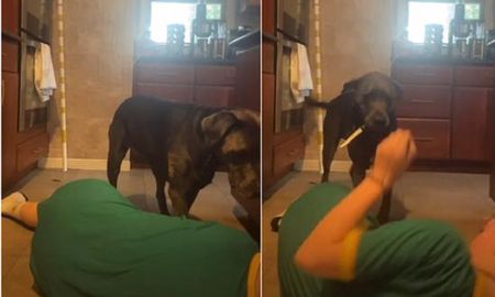 Video viral registró la inesperada reacción de un perro al ver que su dueña se ahogaba. Video viral registró la inesperada reacción de un perro al ver que su dueña se ahogaba.