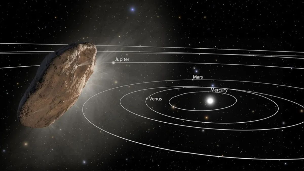 Cometa u ovni: descubren un misterioso objeto que viaja a gran velocidad hacia la Tierra