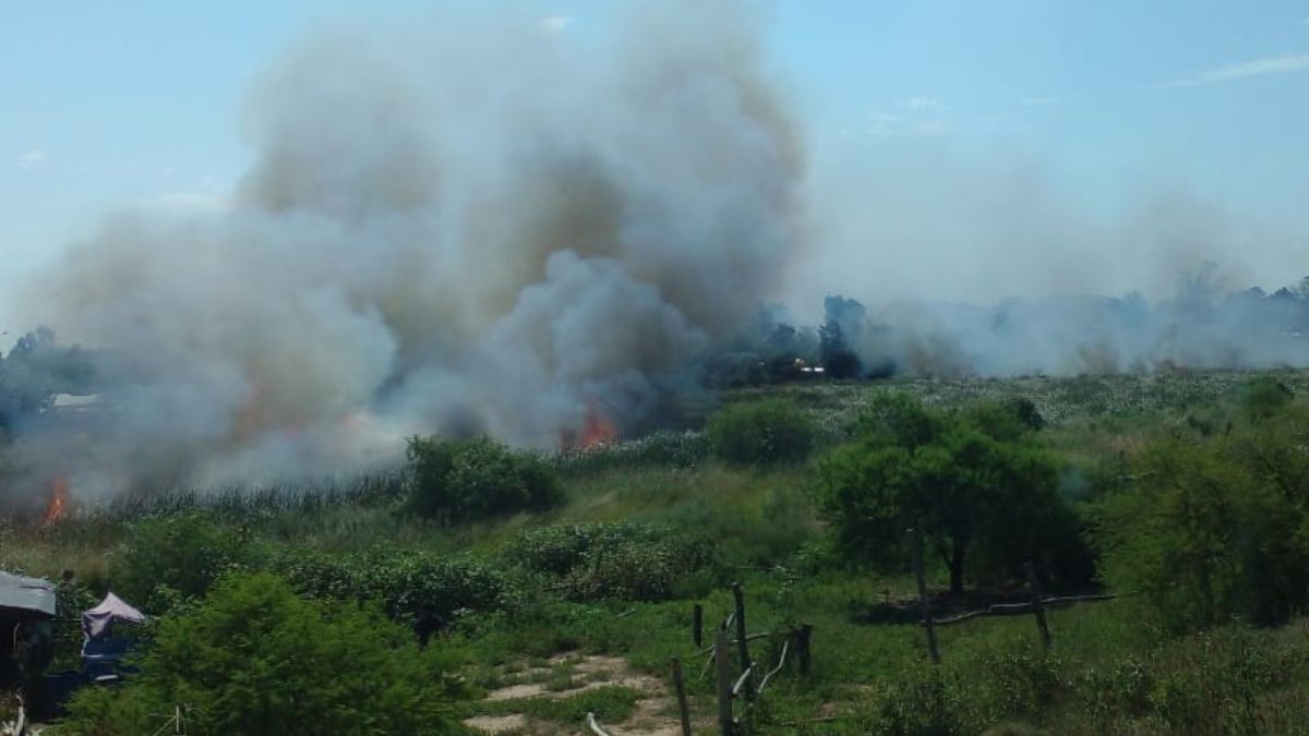 Incendio de pastizales en la intersección de Milagros de Arteriza y Castañeda