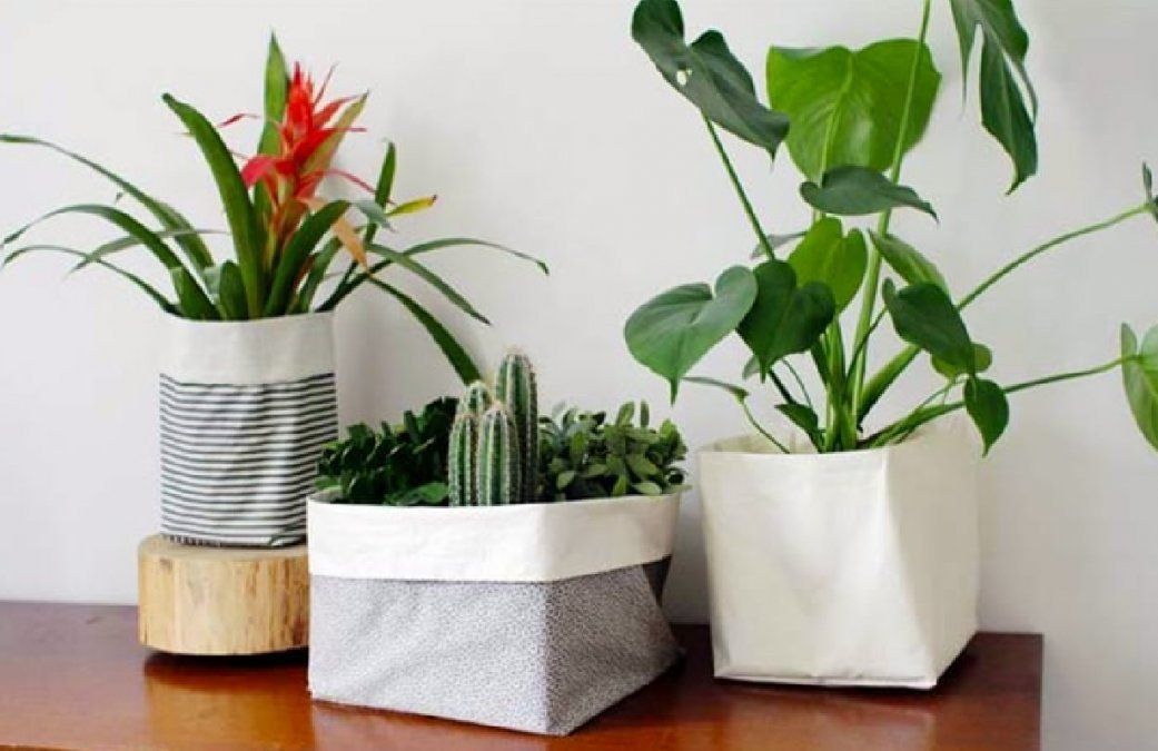 Macetas y macetones: una opción adaptable y decorativa