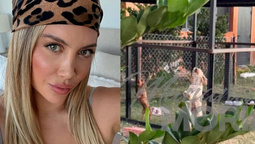 Vecinos de Nordelta denunciaron que los perros de Wanda Nara pasaban horas al sol sin supervisión.
