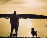 nala, la perra de emiliano sala que espera su regreso nala, la perra de emiliano sala que espera su regreso