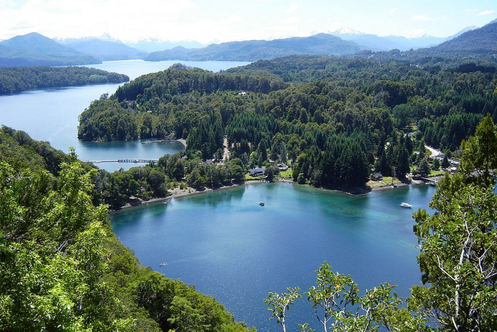 Por qué se originan los incendios forestales