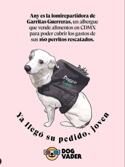 “Los amo, valen mil… gracias por darnos una esperanza a mí y mis hermanos del refugio”, se lee en otro texto del refugio.