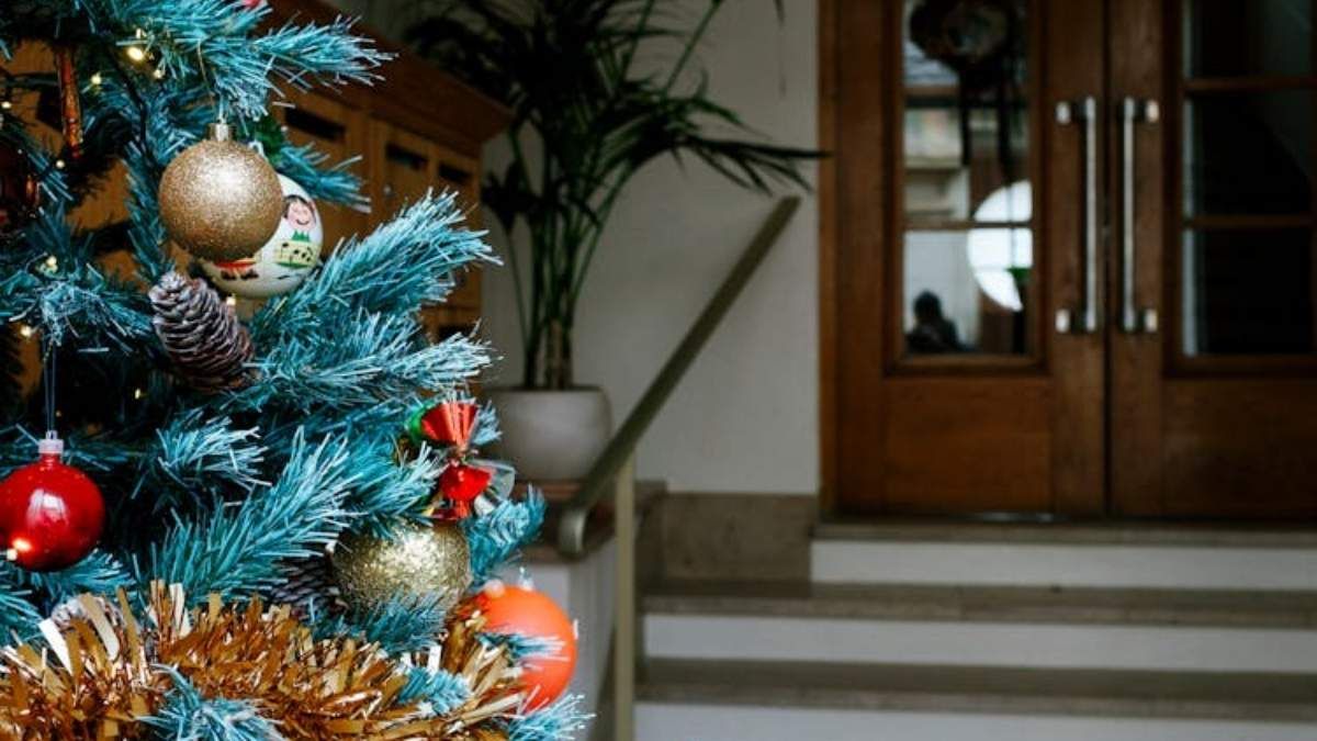 Los signos y los cambios que sufrirán antes de Nochebuena. Los signos y los cambios que sufrirán antes de Nochebuena.