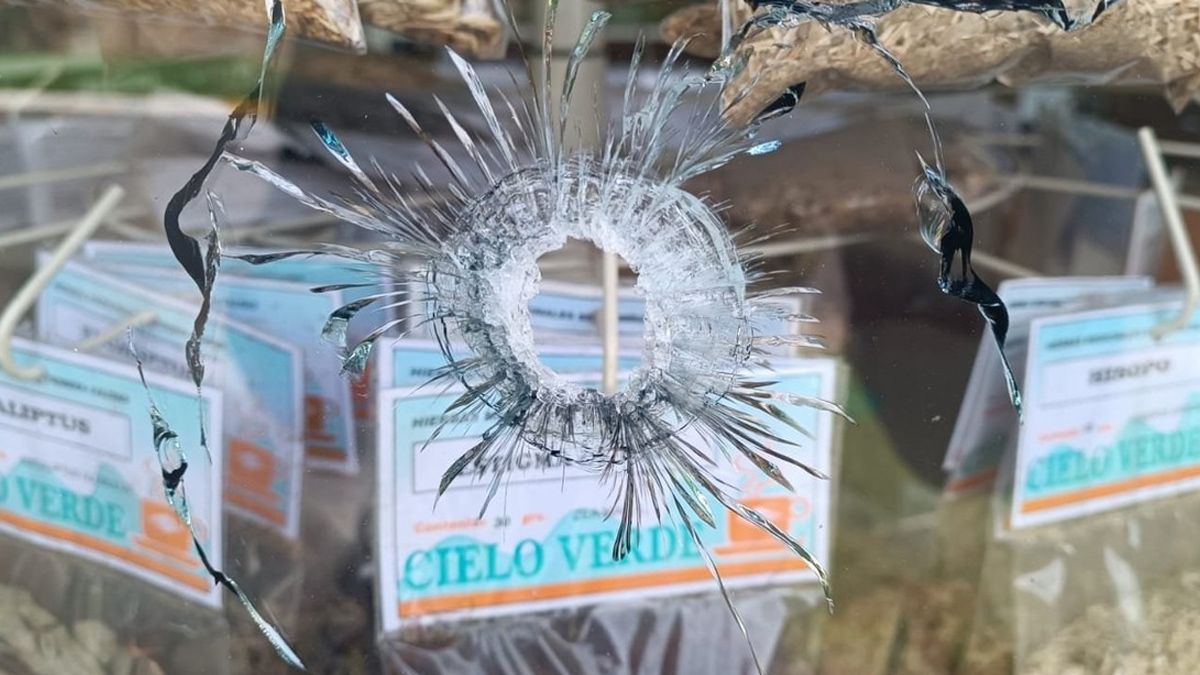 El ataque a balazos al domicilio y comercio del presidente comunal de Alvear ocurrió el pasado martes por la madrugada.