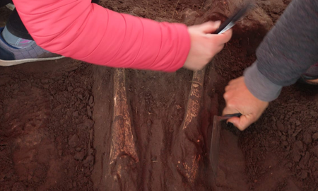La arqueóloga María Rosario Feuillet detalló que “desde hace una semana se está excavando un entierro primario. La arqueóloga María Rosario Feuillet detalló que “desde hace una semana se está excavando un entierro primario.