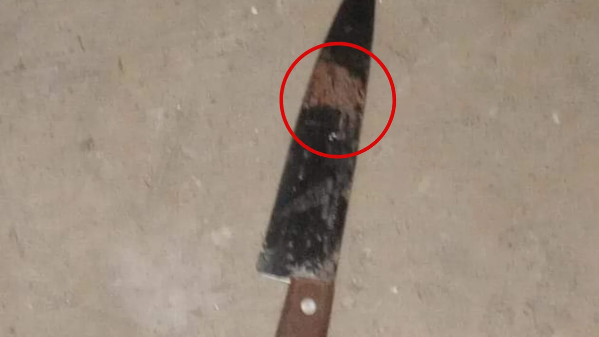 Este es el arma que el homicida utilizó. Foto NA Este es el arma que el homicida utilizó. Foto NA