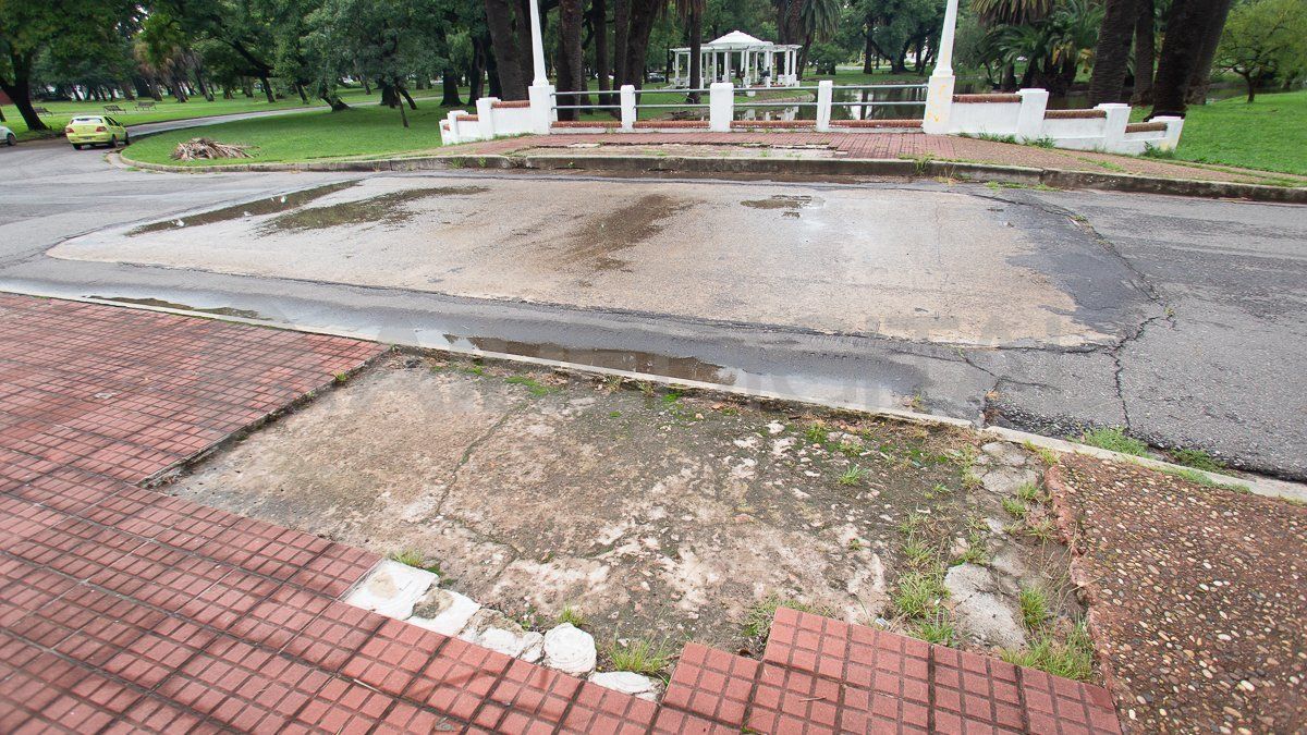 El municipal denunció que hay personas que matan las tortugas que están en el parque.