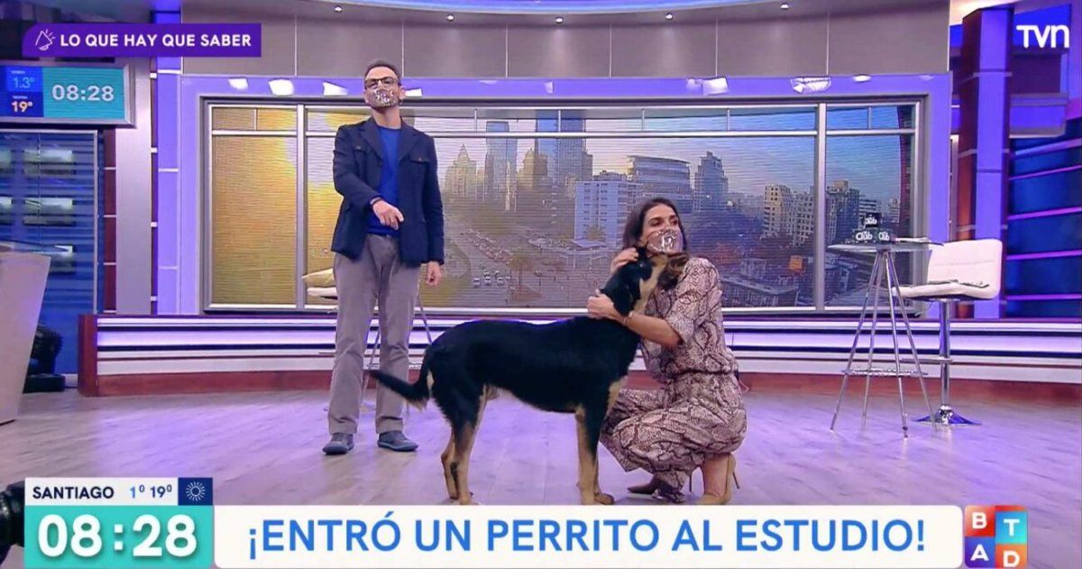 El simpático hecho se hizo viral en YouTube y otras plataformas.&nbsp;