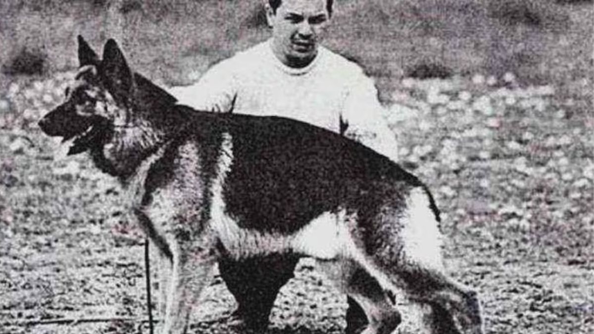 Chonino, el histórico perro de la Federal. Chonino, el histórico perro de la Federal.